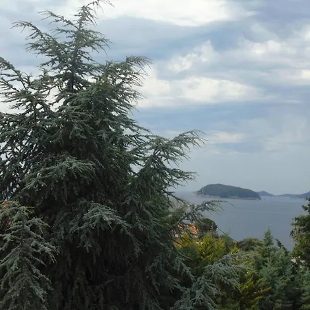 Sweet Villa